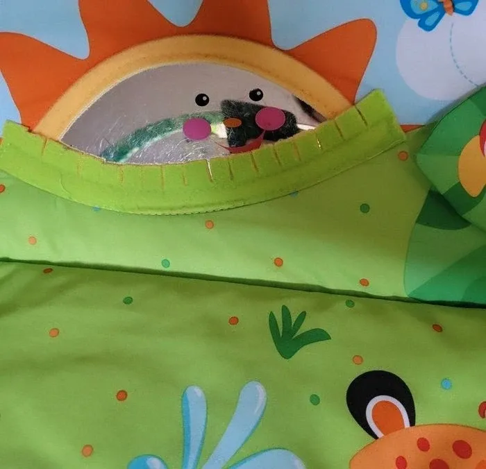 Tapis d'éveil bébé - photo numéro 6