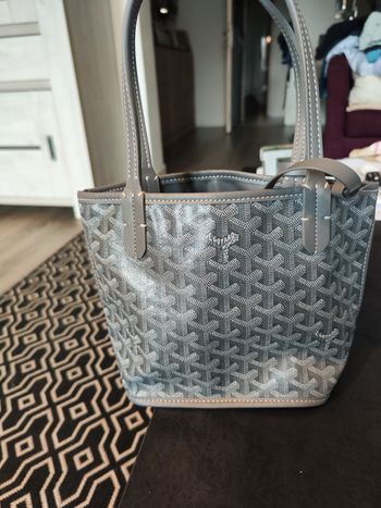 Petit sac a main très tendance