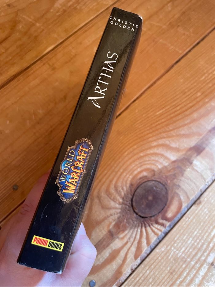Livre - WOW Arthas L’ascension du roi-liche - photo numéro 3
