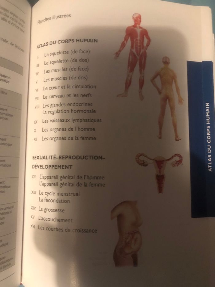 Le petit larousse de la médecine - L’indispensable pour toute la famille en 5000 articles - photo numéro 3