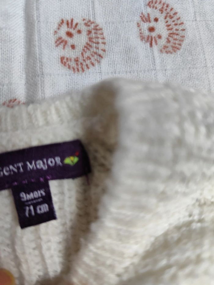 Lot de 2 pulls 9 mois - photo numéro 11
