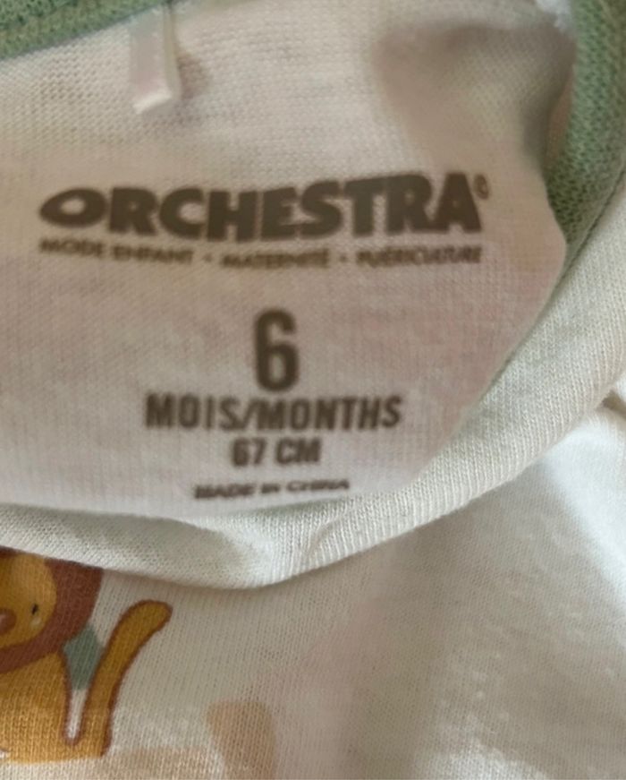 Ensemble Orchestra - photo numéro 3