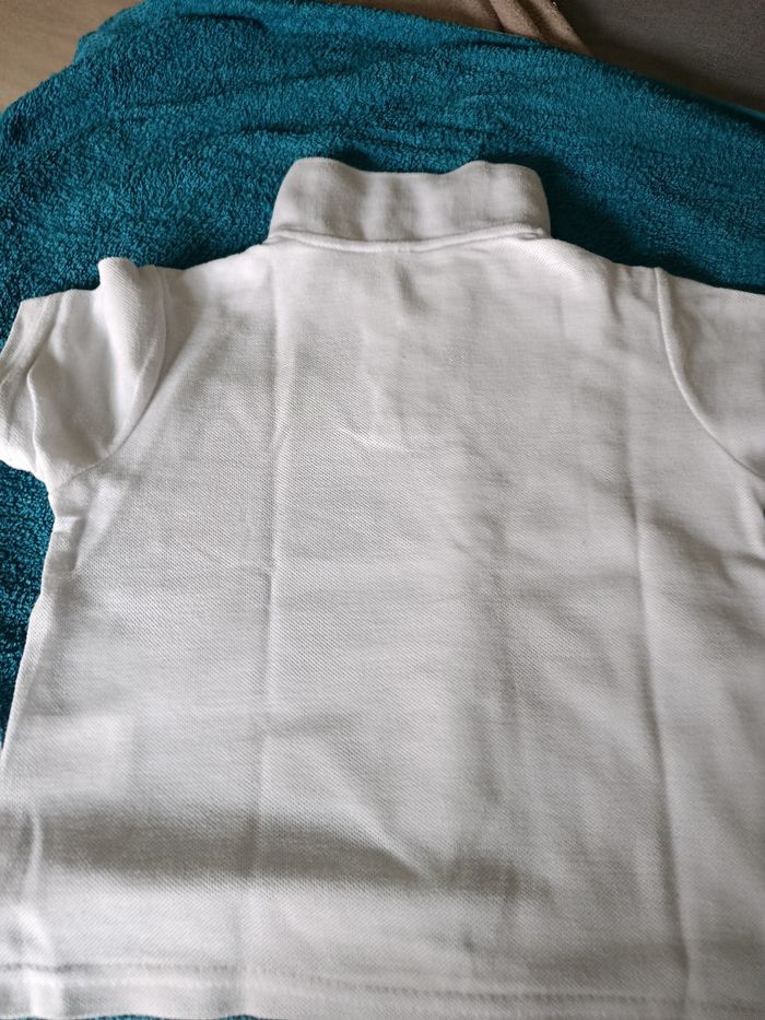 Polo - photo numéro 2