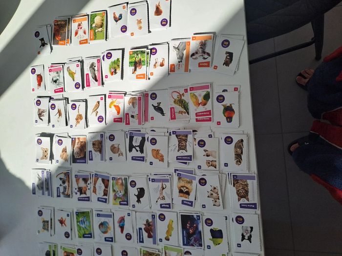 Collector cora nos amies les betes - photo numéro 3