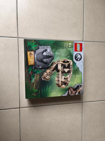 LEGO Jurassic World - Dinosaur Fossils: T.rex Skull (76964)