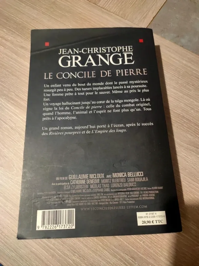 Le concile de pierre - photo numéro 2