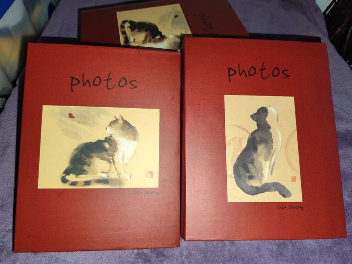 Coffret 2 Album photos chats art gallery forme livre avec estampes chinoises chen dehong - photo numéro 4