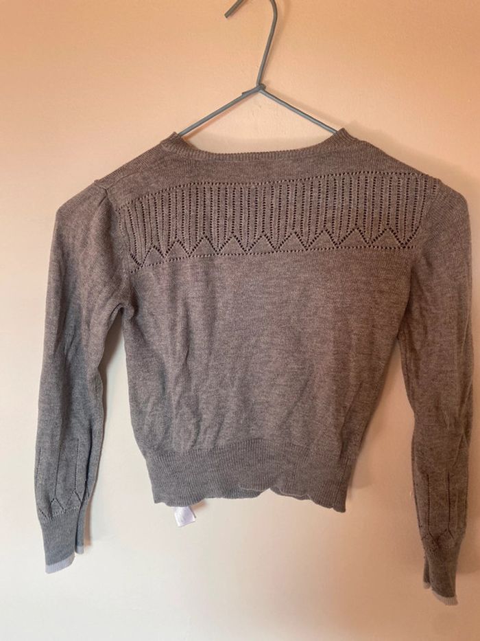 Gilet gris - photo numéro 2