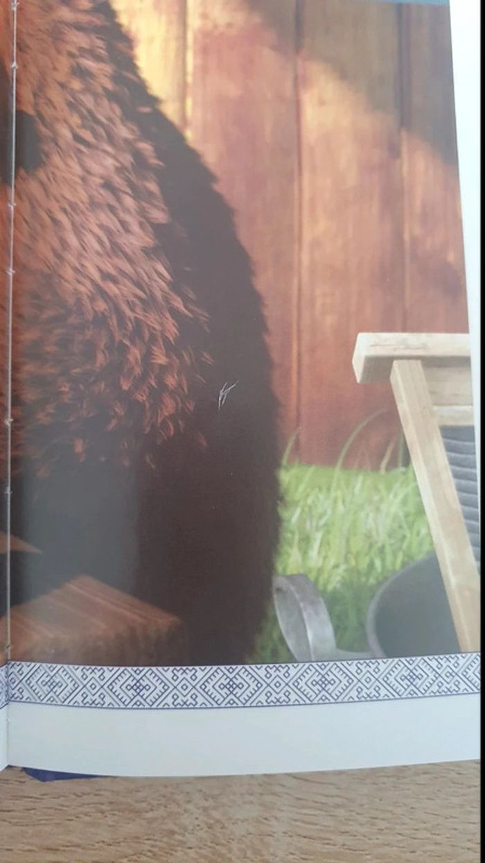 Livre masha et michka - photo numéro 4