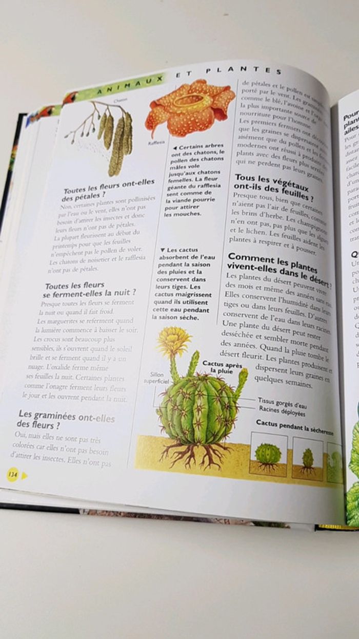 Encyclopédie Question Réponses - photo numéro 3