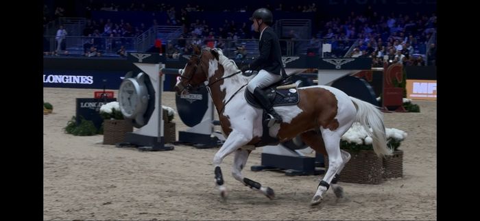 Collier pendentif lapin - photo numéro 3