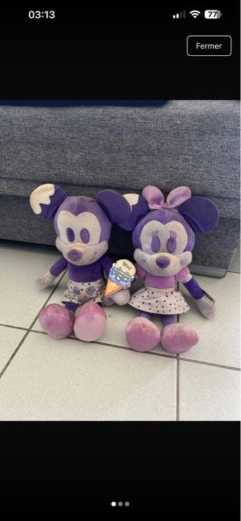 Lot peluche Mickey et Minnie 