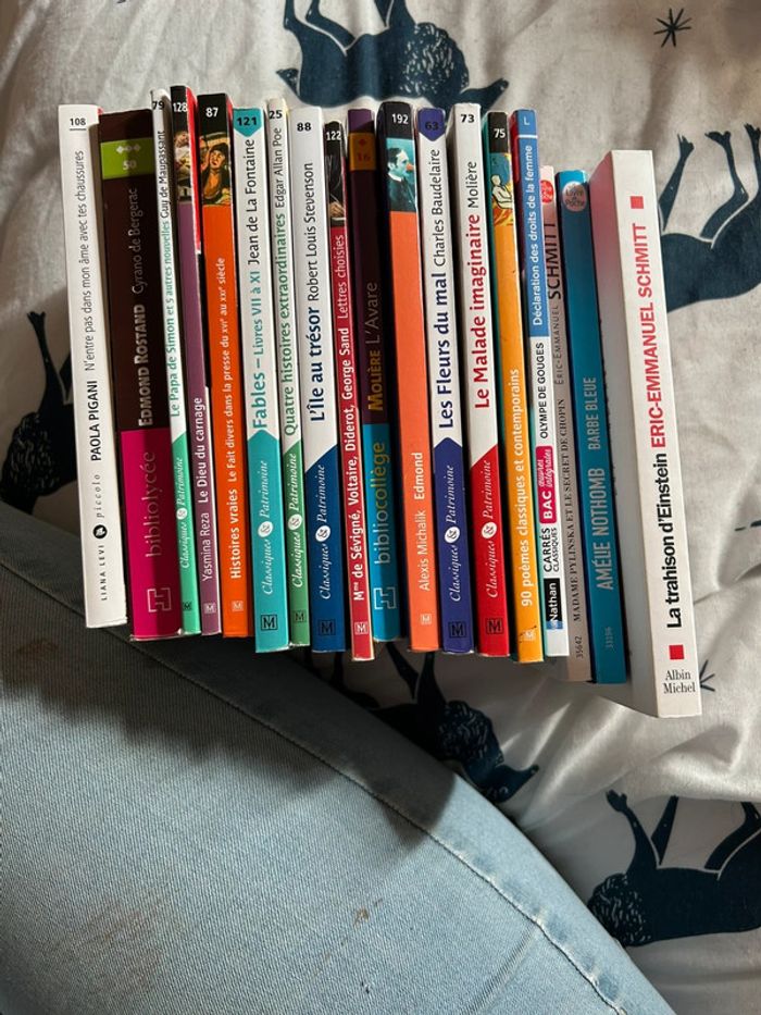 Lots de livre