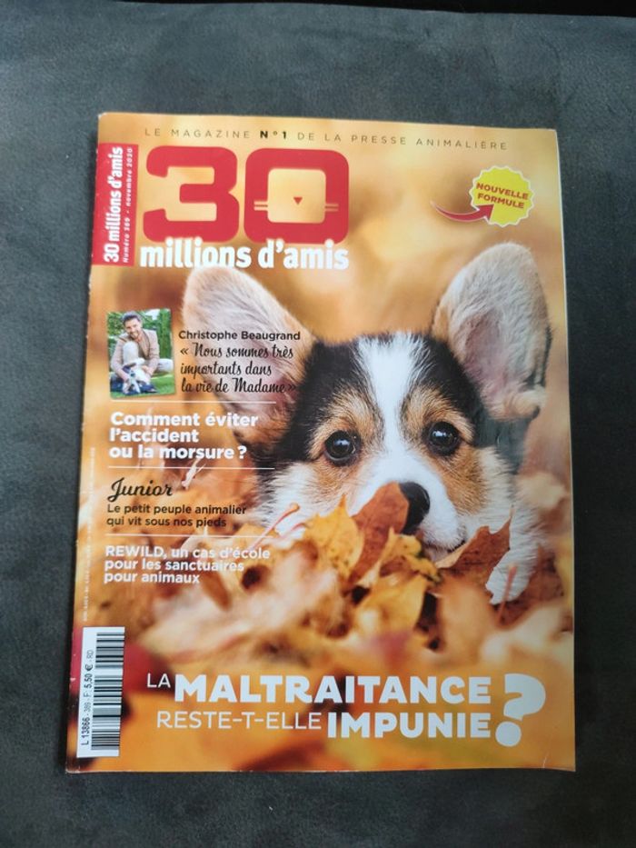 Magazine 30 millions d'amis numéro 389 novembre 2020