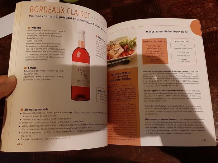 Livre accord mets et vins - photo numéro 3