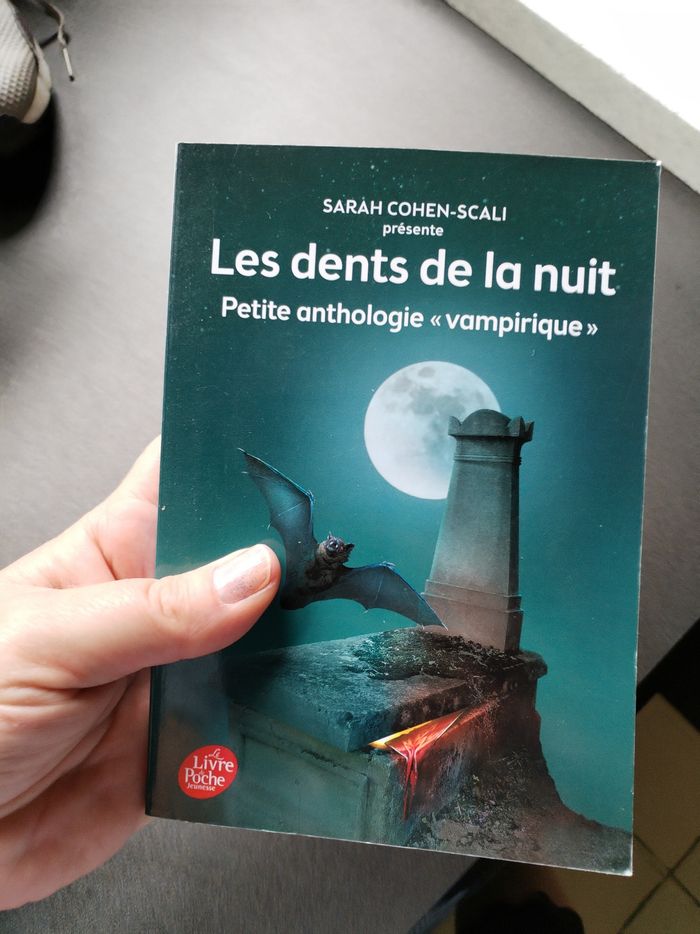 Lot livres ado collège - photo numéro 9