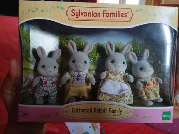 Famille lapin