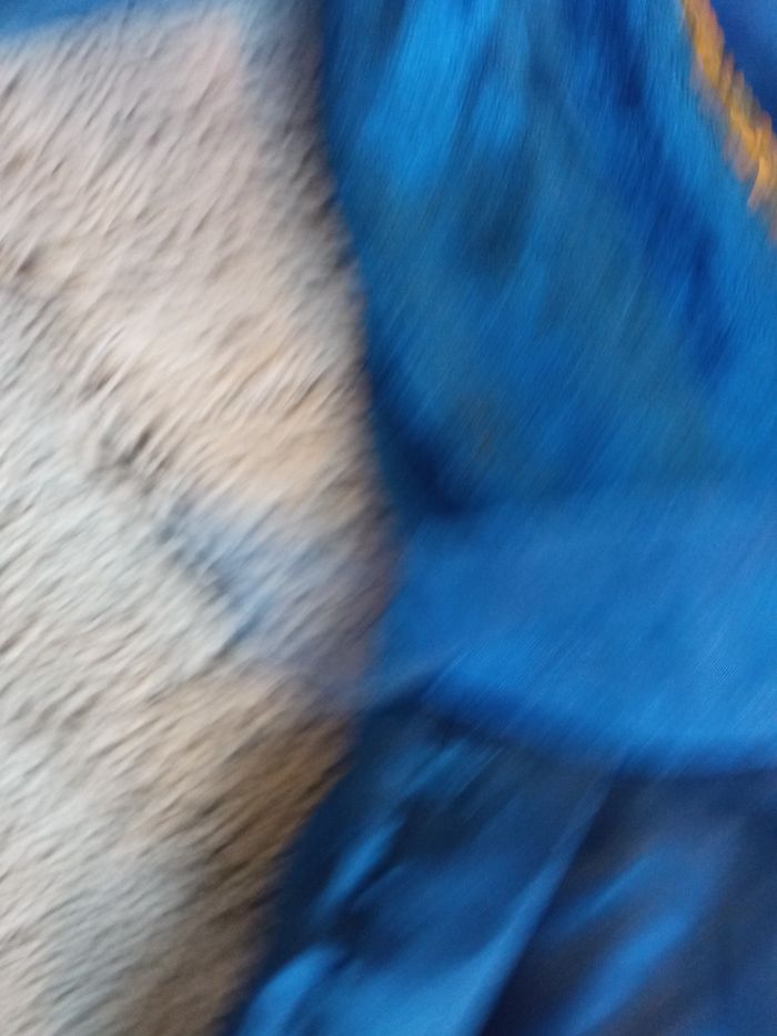 Déguisement fille 8 ans - photo numéro 3