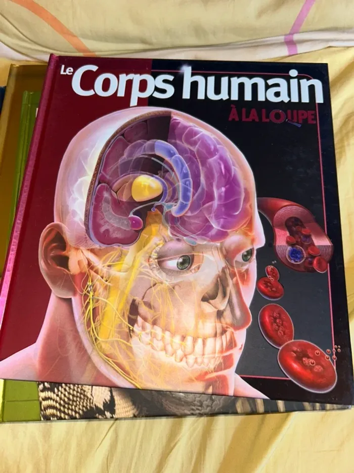 Lot livres À la loupe - photo numéro 5