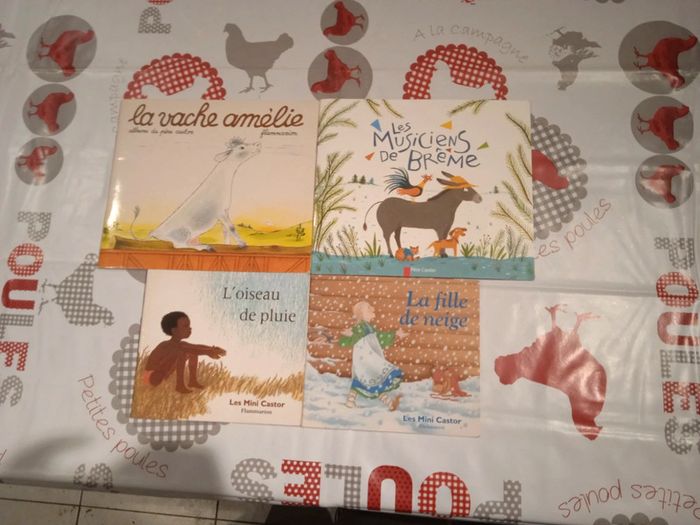 Livres père castor/mini castor