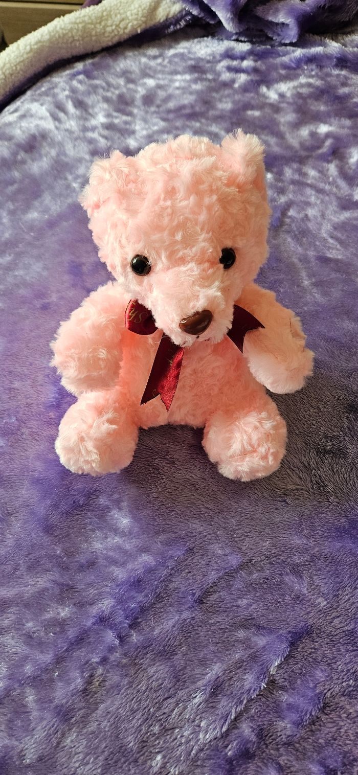 Peluche lumineuse personnalisé - photo numéro 4