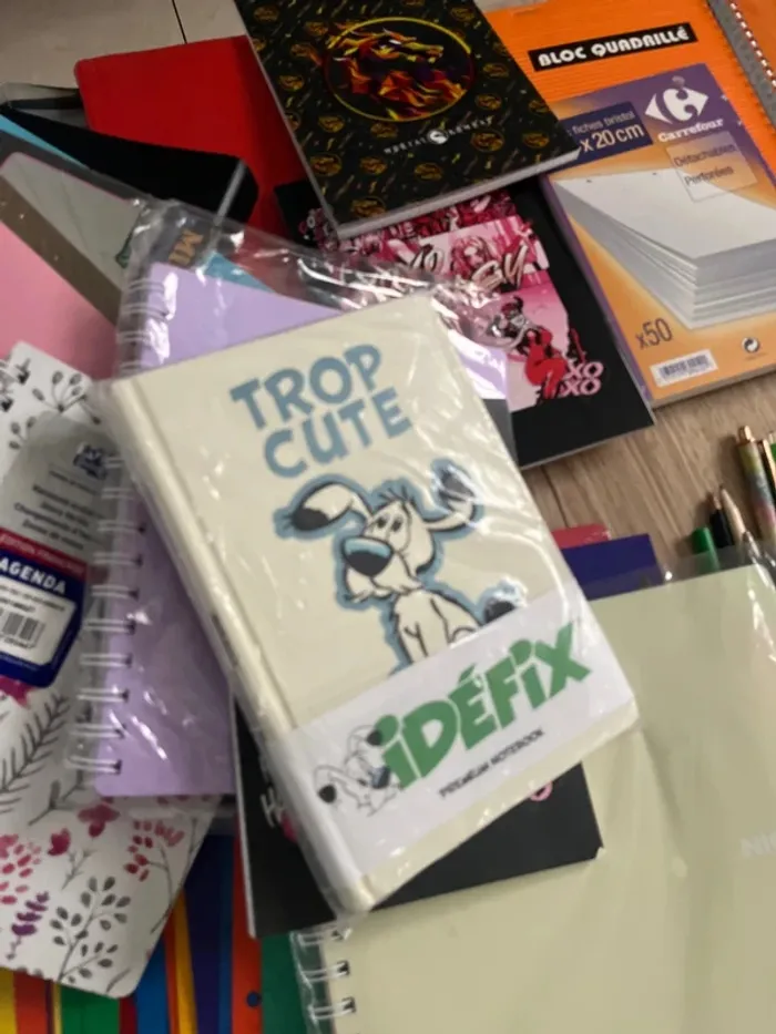 Énorme lot de fournitures scolaires neuves ou en très bon état - photo numéro 3