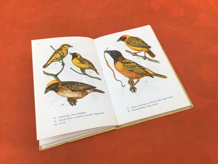 C. Mandahl-Barth et J.Dorst  Oiseaux de Cage et de Volière - photo numéro 4