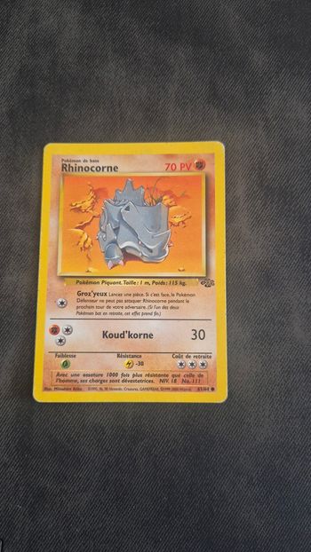 Rhinocorne 61/64