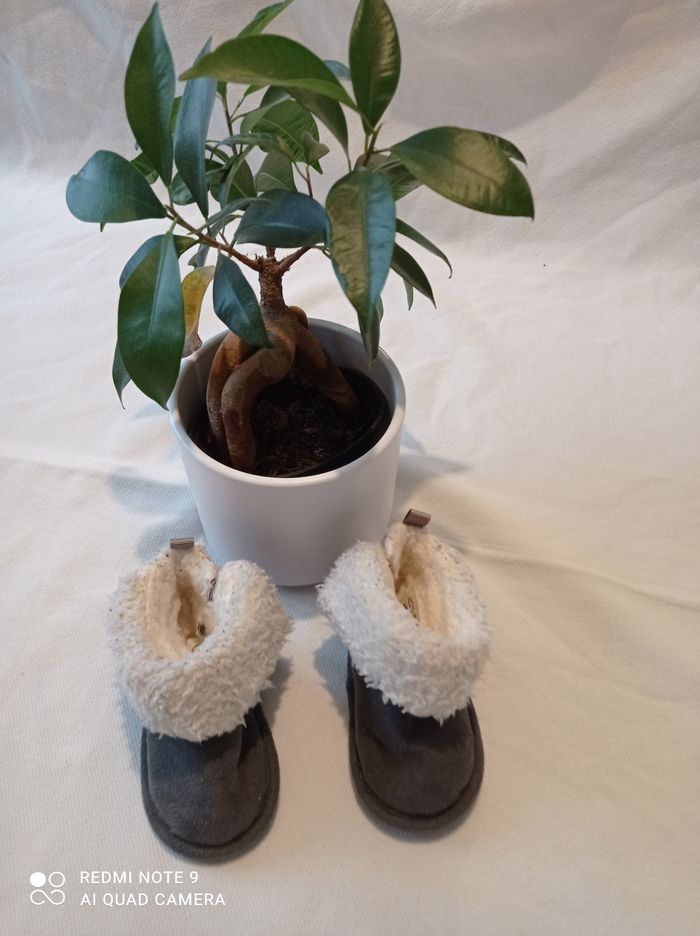 Chaussures montantes