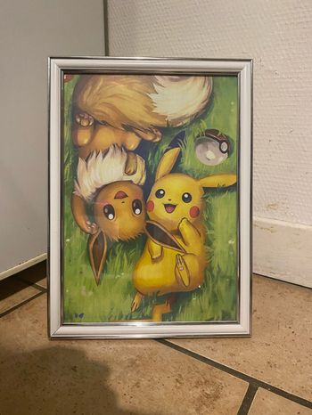 Cadre Pokémon
