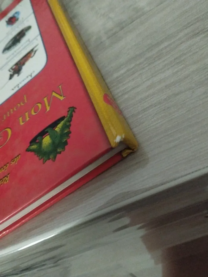 Mon grand imagier pour apprendre à lire - photo numéro 4