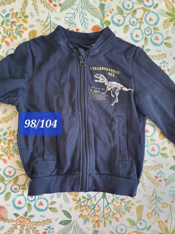 Gilet dinosaures 3ans