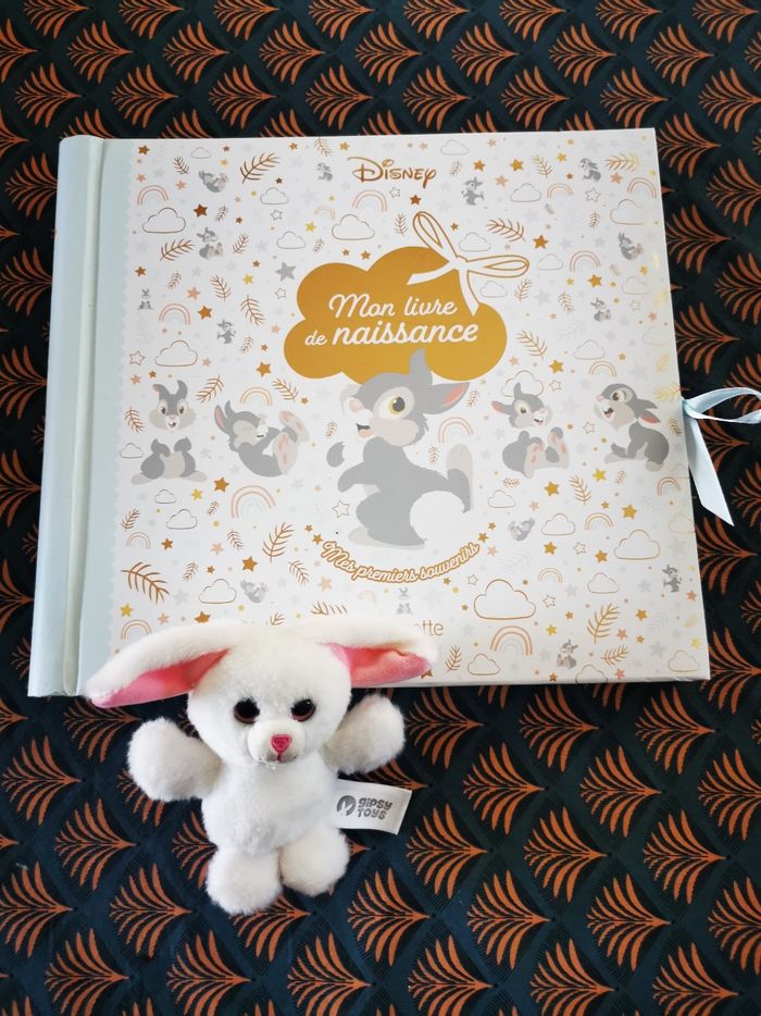 Livre naissance Disney