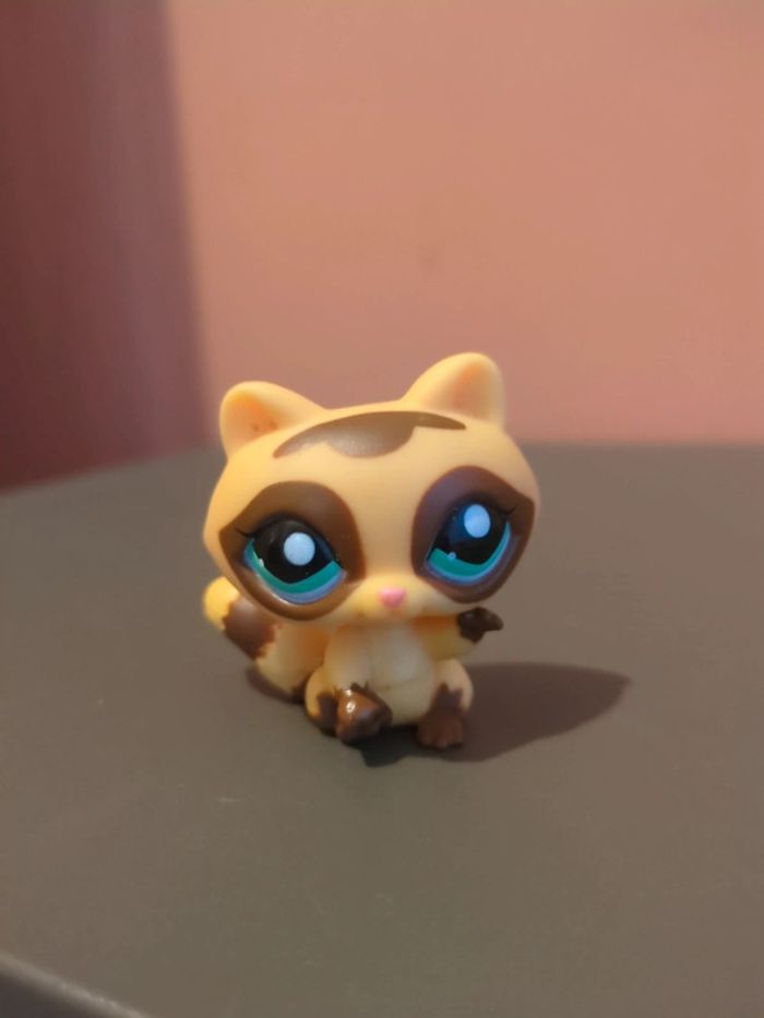 Littlest Petshop Lps Raton Laveur