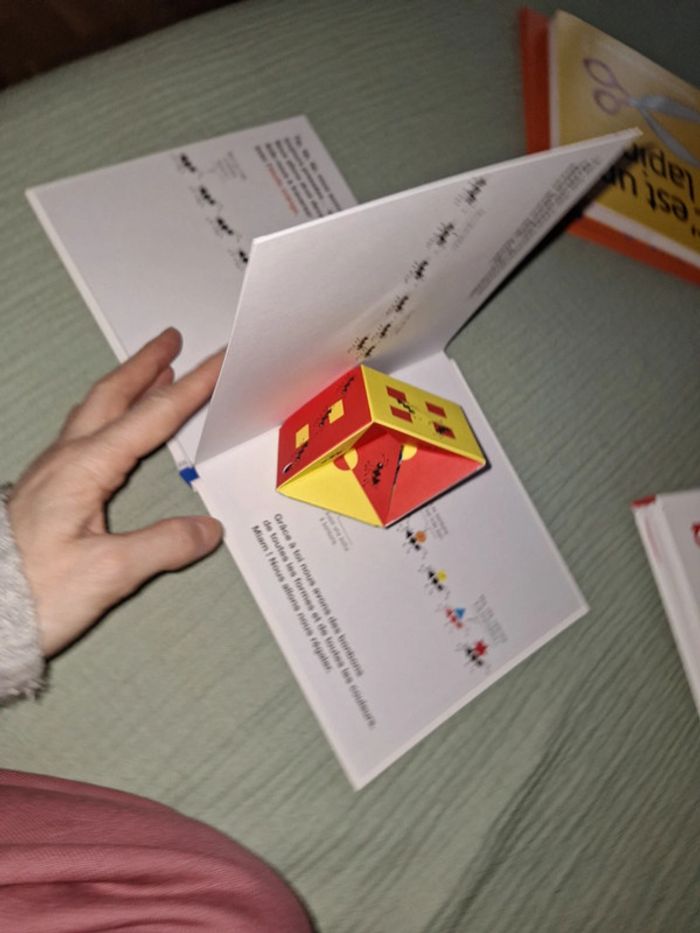 Les fourmis partent à l'aventure - photo numéro 3