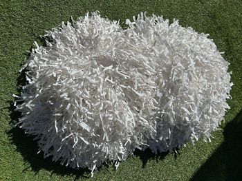 1 paire de pompons américains