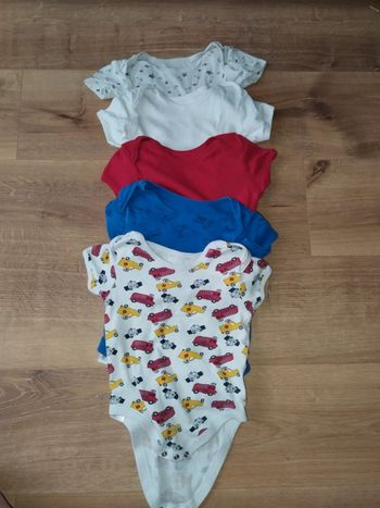 Lot de 5 bodies manche courte 23mois