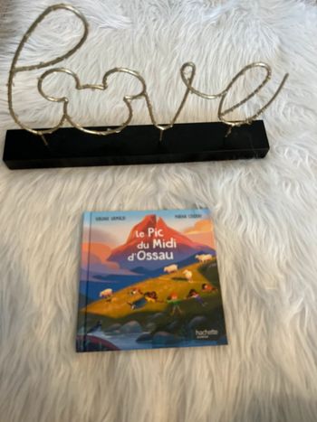 Livre pour les enfants 🥰 le pic du midi d’ossau hachette