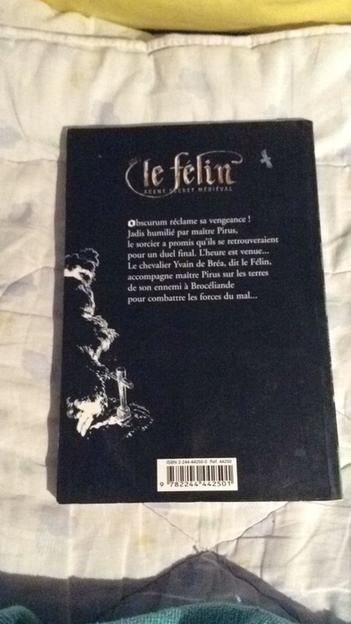 #le félin agent secret médiéval, le sorcier de Brocéliande par Arthur Ténor - photo numéro 5