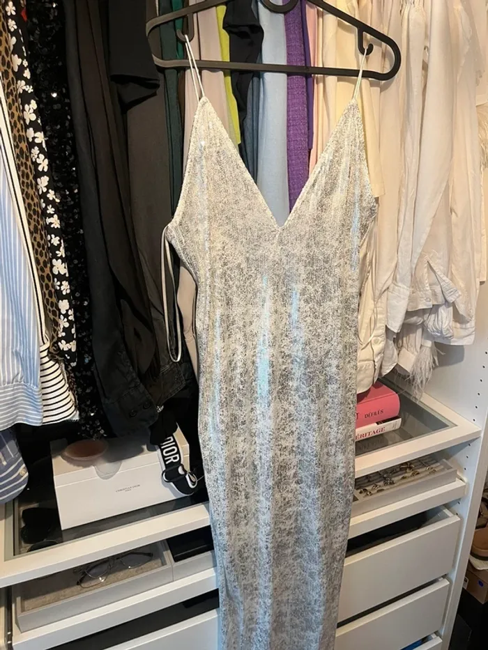 Robe argentée / blanche