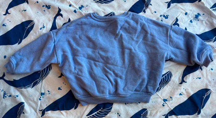 Pull le ciel, les oiseaux et ma mère 2ans - photo numéro 3