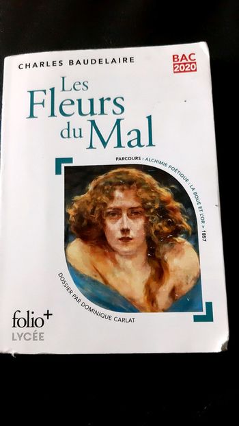 Les fleurs du mal