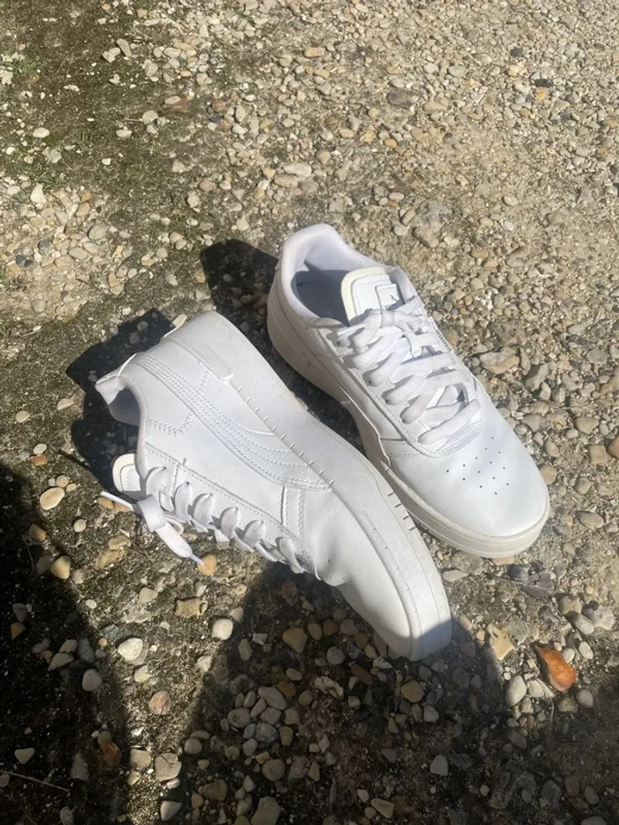 Puma blanches - photo numéro 2