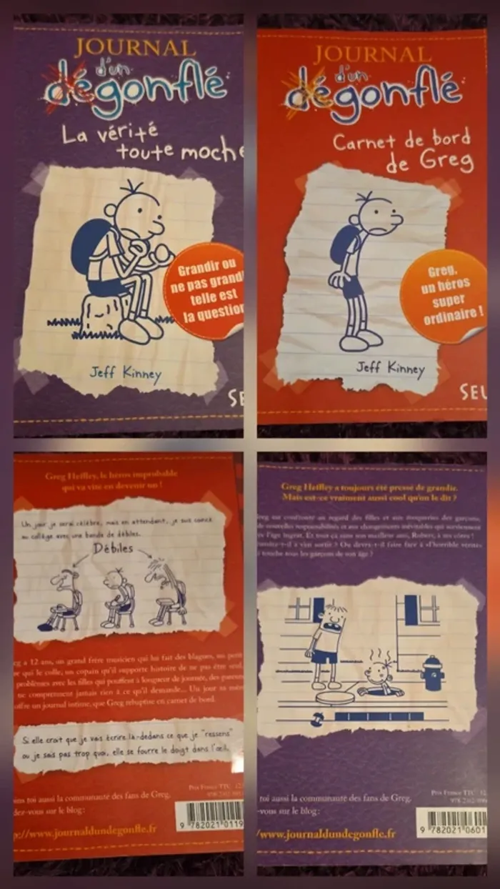 LOT 2 Journal d'un dégonflé