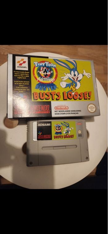 Tiny toon adventures super Nintendo 