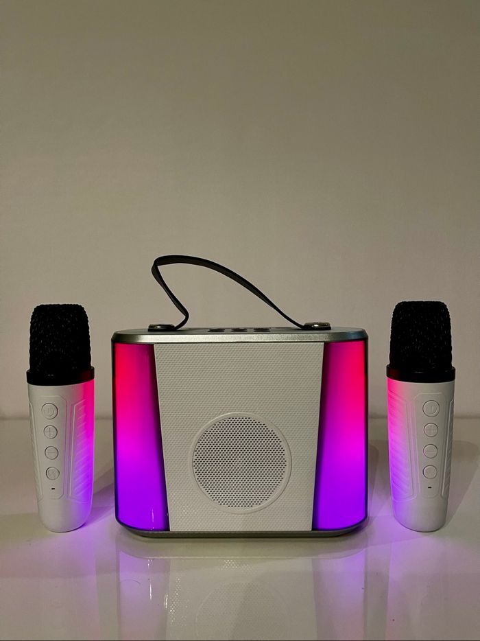 Karaoké avec 2 micros