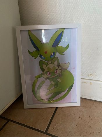 Cadre Pokémon