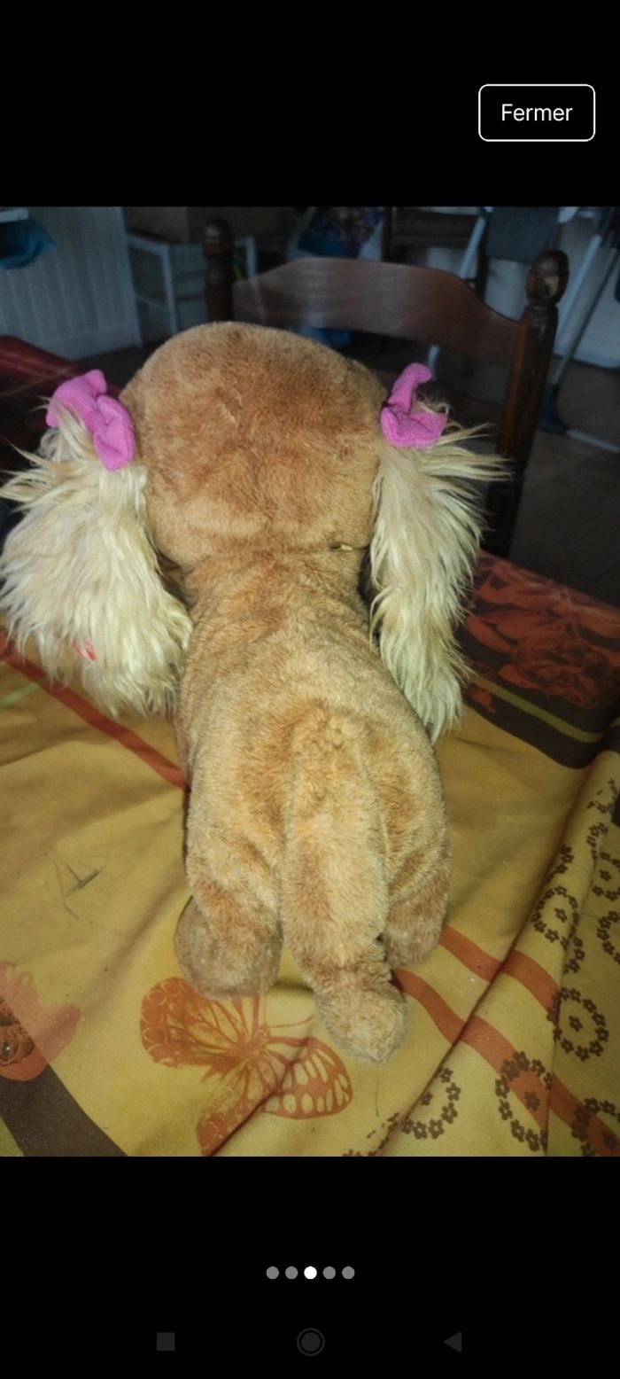 Petit chien bouge et aboie j56 - photo numéro 5