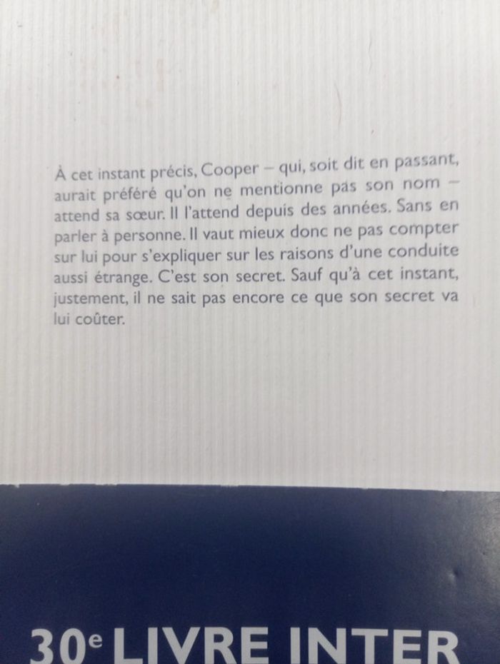 Patrick Lapeyre - L'homme-soeur - photo numéro 3