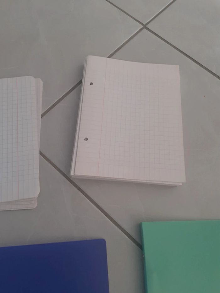 Lotbpetits classeurs et feuilles - photo numéro 4